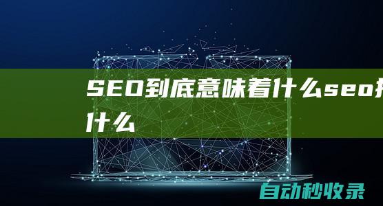 SEO到底意味著什么 (seo指的什么)